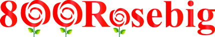 800RoseBig Orange County Florist Logo